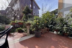 RIPANDELLI