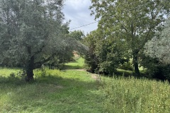 SAN MARTINO AL CIMINO (VT)