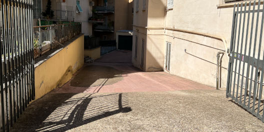 Trebio Littore
